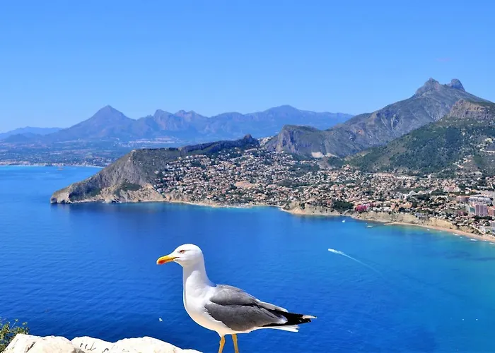 Apartment Aman128 Calpe